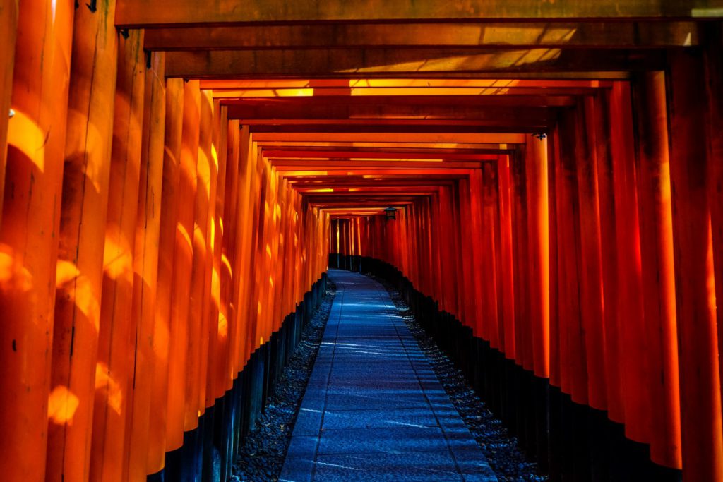 Top 5 Things to Do in Japan While You Still Can pexels photo 96420 1024x683