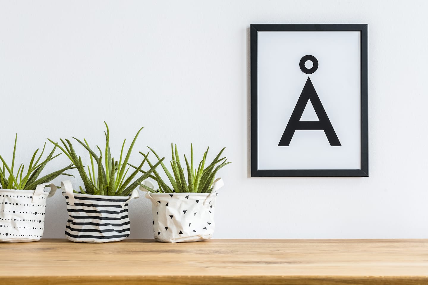 aloe-in-fabric-planters-PPWS892